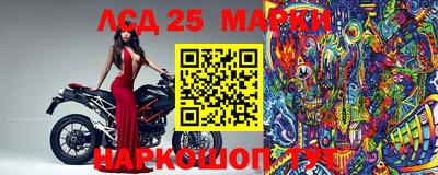 индика Жуковский