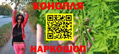 индика Жуковский