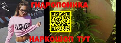 индика Жуковский