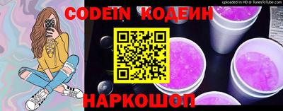 индика Жуковский