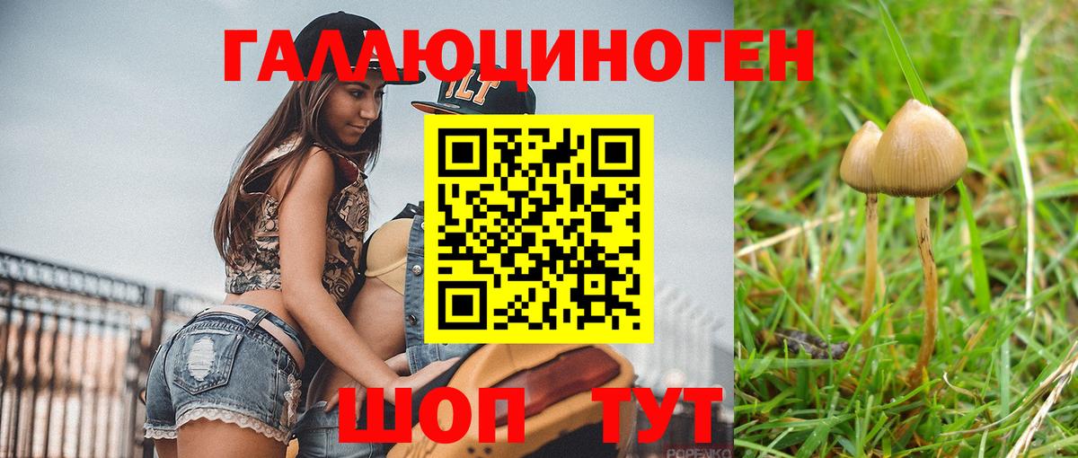 Великий Новгород  Галлюциногенные грибы Cubensis  Вход с VPN 